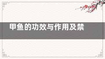 甲鱼的功效与作用及禁忌 鳖的功效与作用及禁忌
